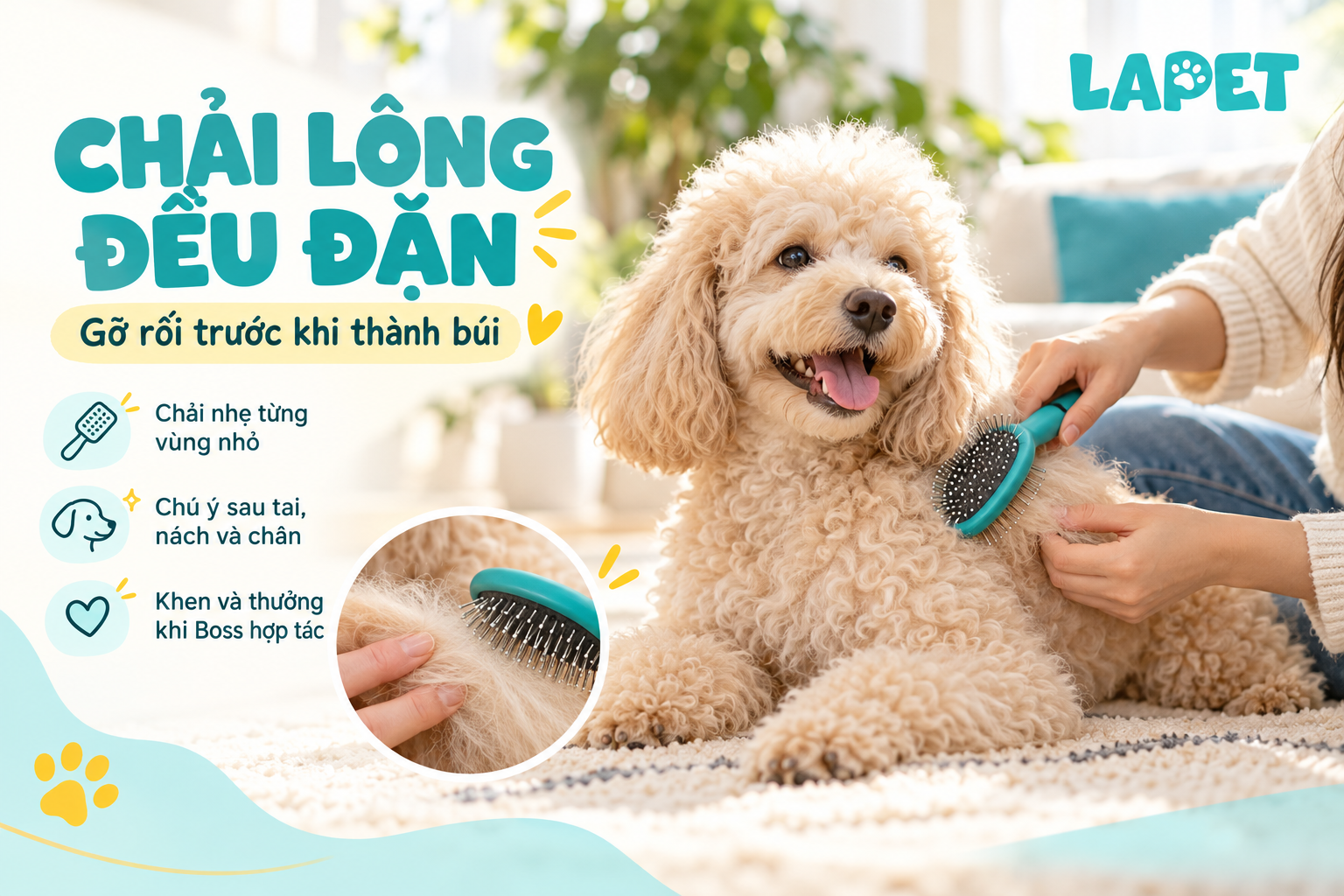 Chải l&ocirc;ng đều đặn 