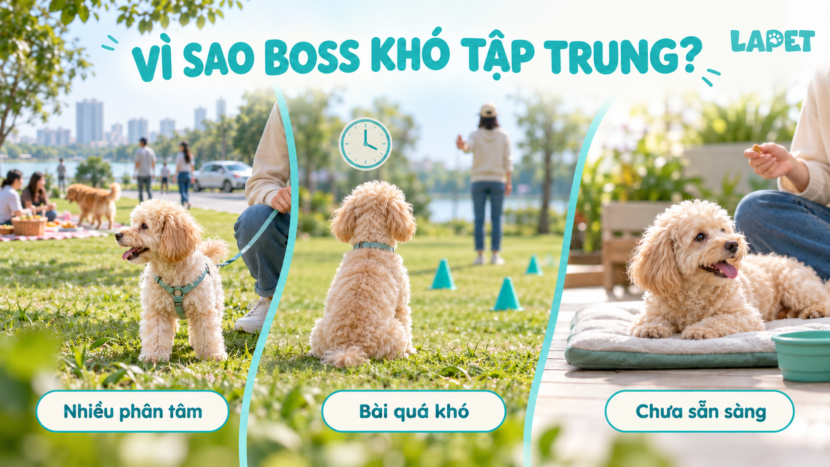 V&igrave; sao ch&oacute; kh&oacute; tập trung khi huấn luyện?