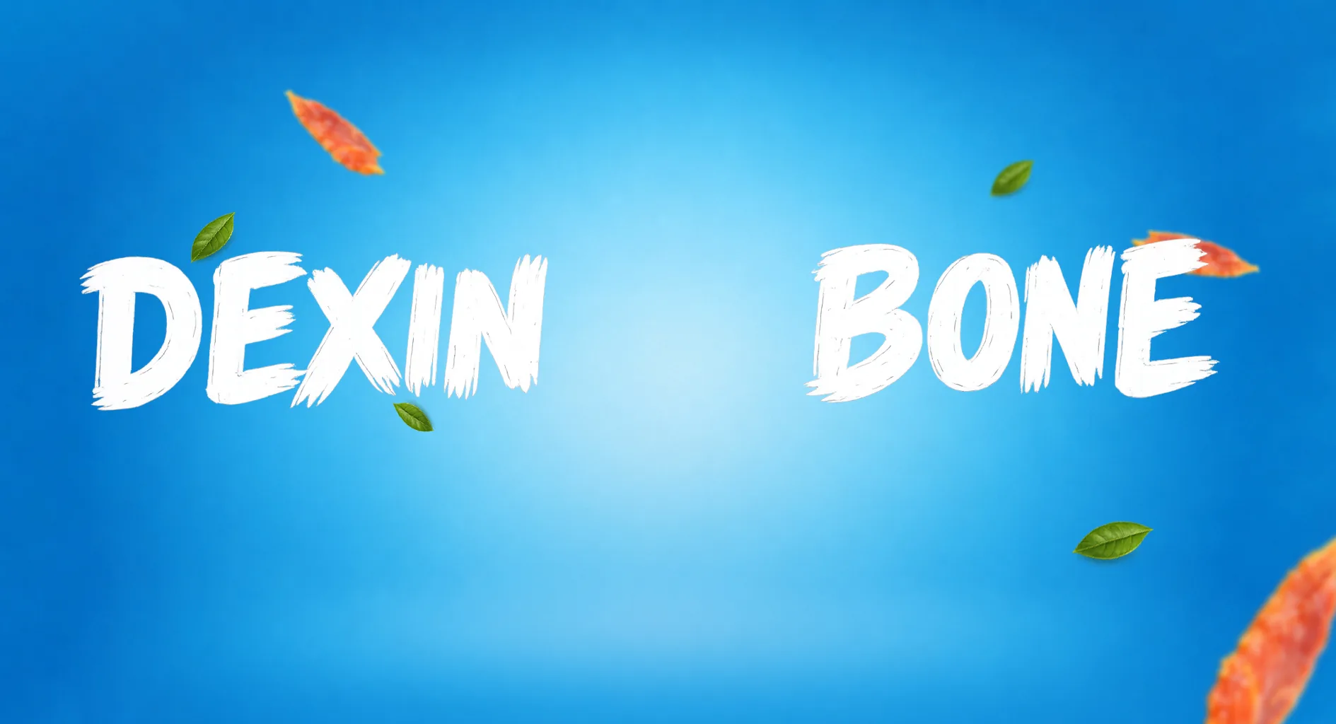 Tổng Kho LAPET Miền Bắc - Hà Nội